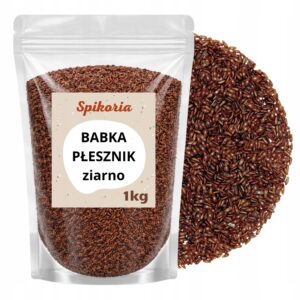 BABKA PŁESZNIK ziarno 1 kg Błonnik Polski witalny naturalny nasiona Polskie